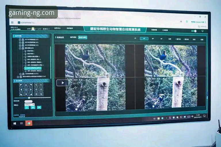 NG体育电脑版深度评测：从界面到体验的创新突破